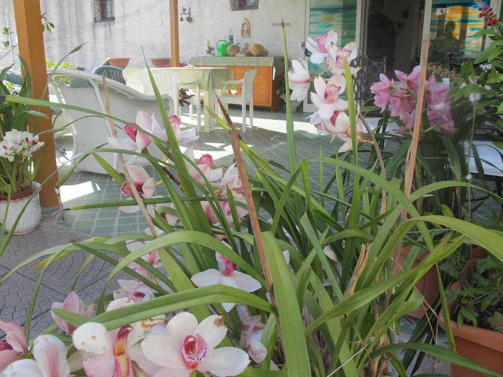 Aparthotel Villa Marinu Forio di Ischia Zewnętrze zdjęcie