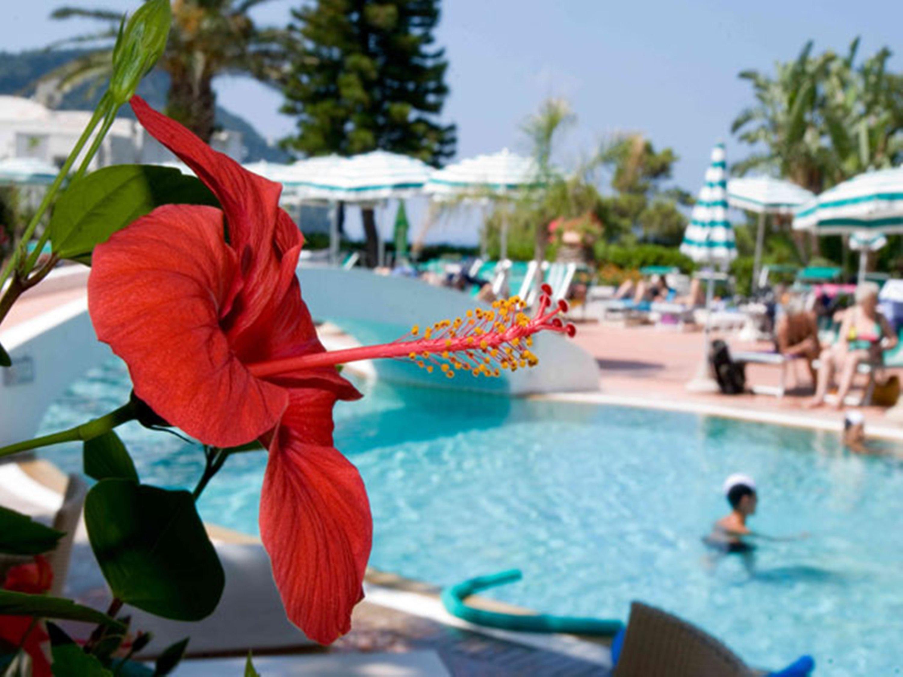 Aparthotel Villa Marinu Forio di Ischia Zewnętrze zdjęcie