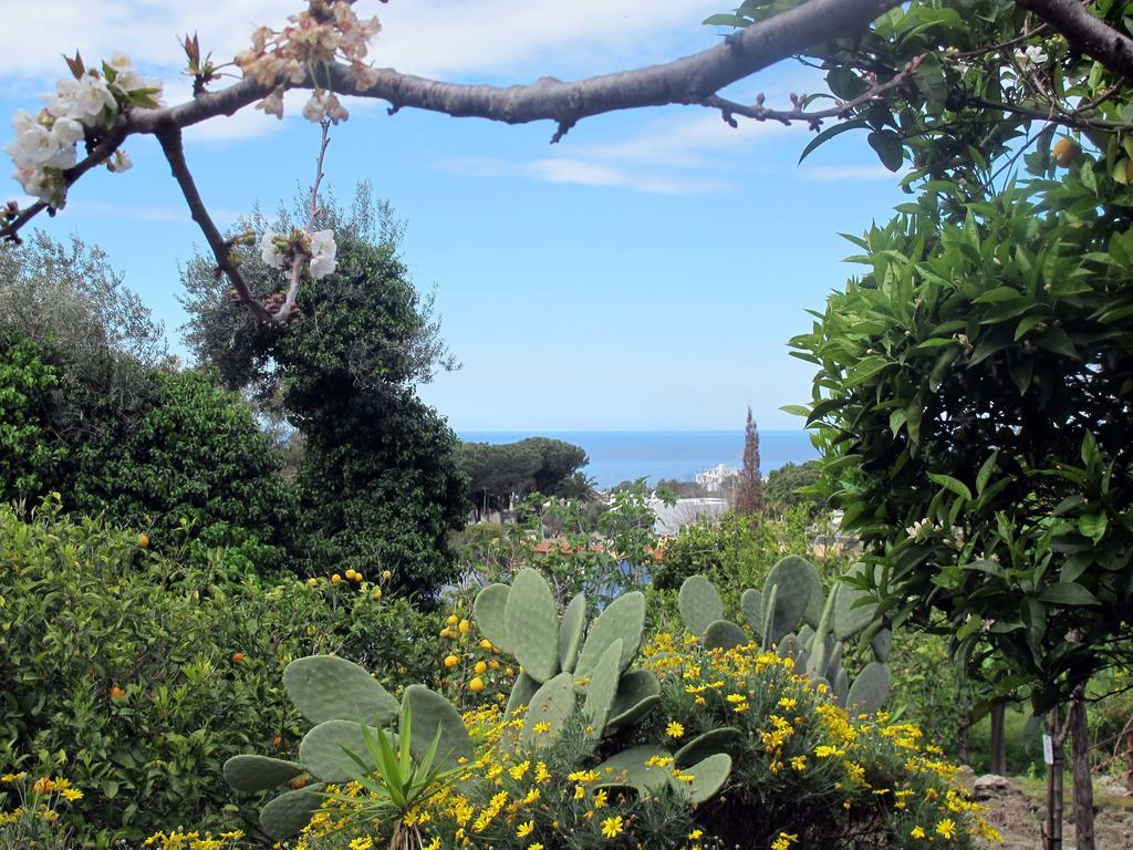 Aparthotel Villa Marinu Forio di Ischia Zewnętrze zdjęcie